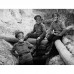 Погоны походные нижних чинов Российского Общества Красного Креста, обр. 1907 г.